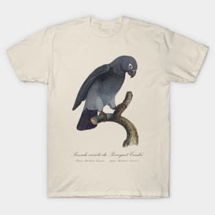 Timneh African Grey Parrot  / Seconde variete du Perroquet Cendre - 19th century Jacques Barraband Illustration T-Shirt